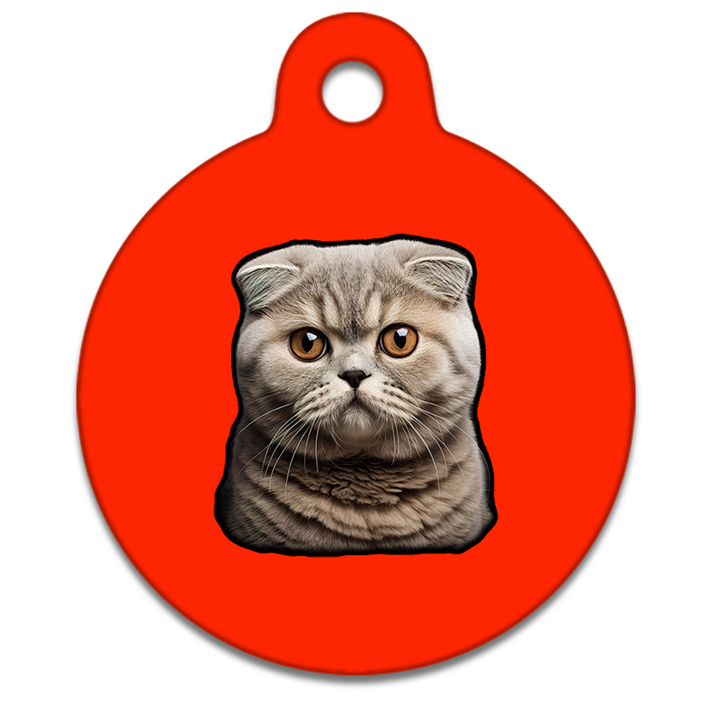 19mm Diameter Tiny Size - Scottish Fold