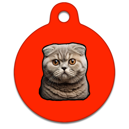 19mm Diameter Tiny Size - Scottish Fold