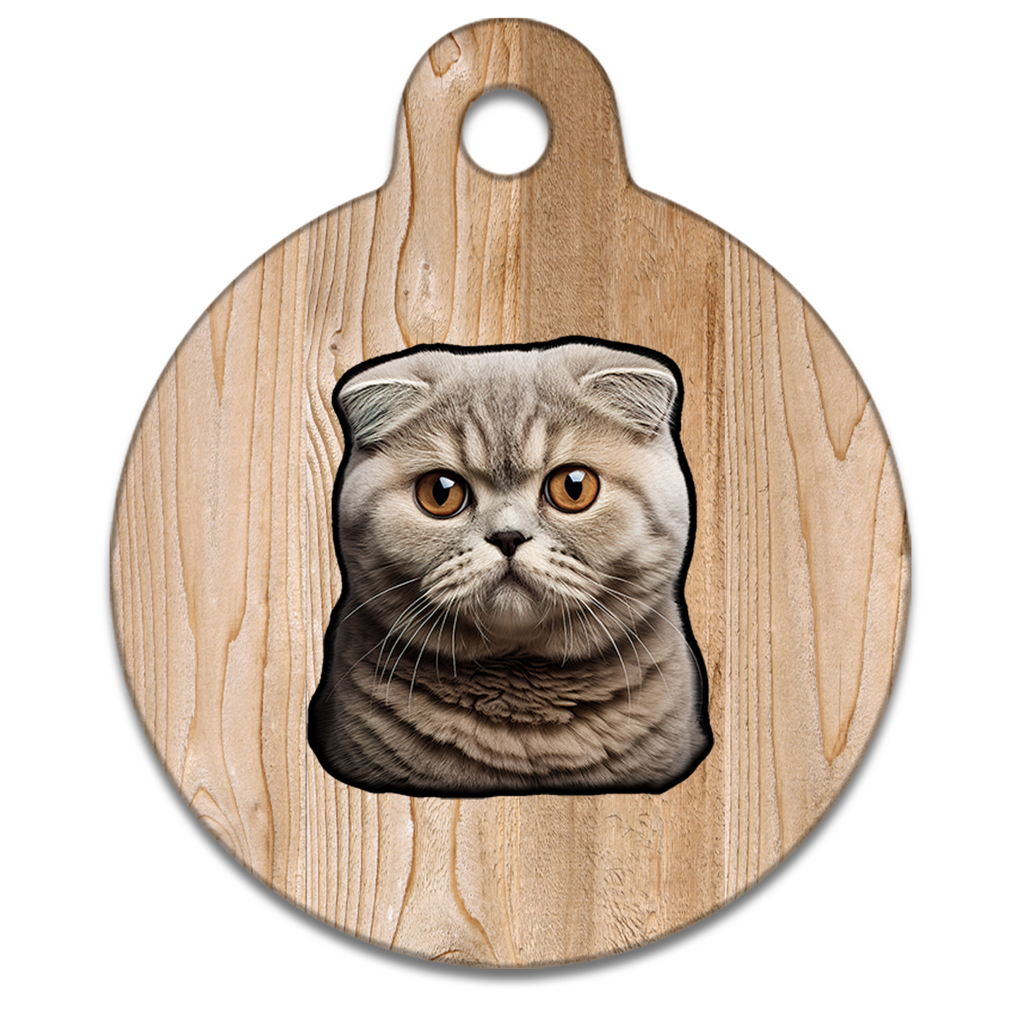 19mm Diameter Tiny Size - Scottish Fold