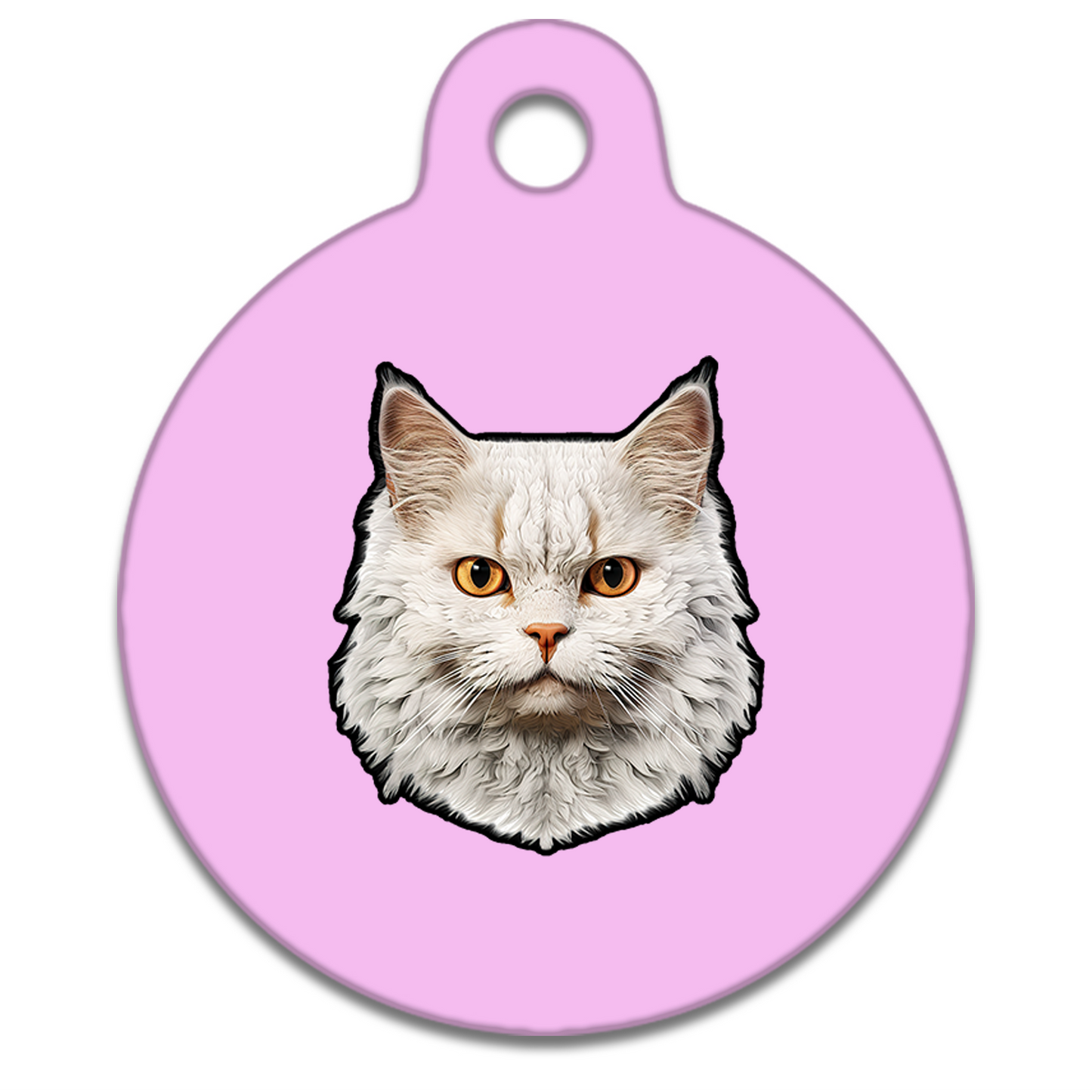 25mm Diameter Tiny Size - Selkirk Rex