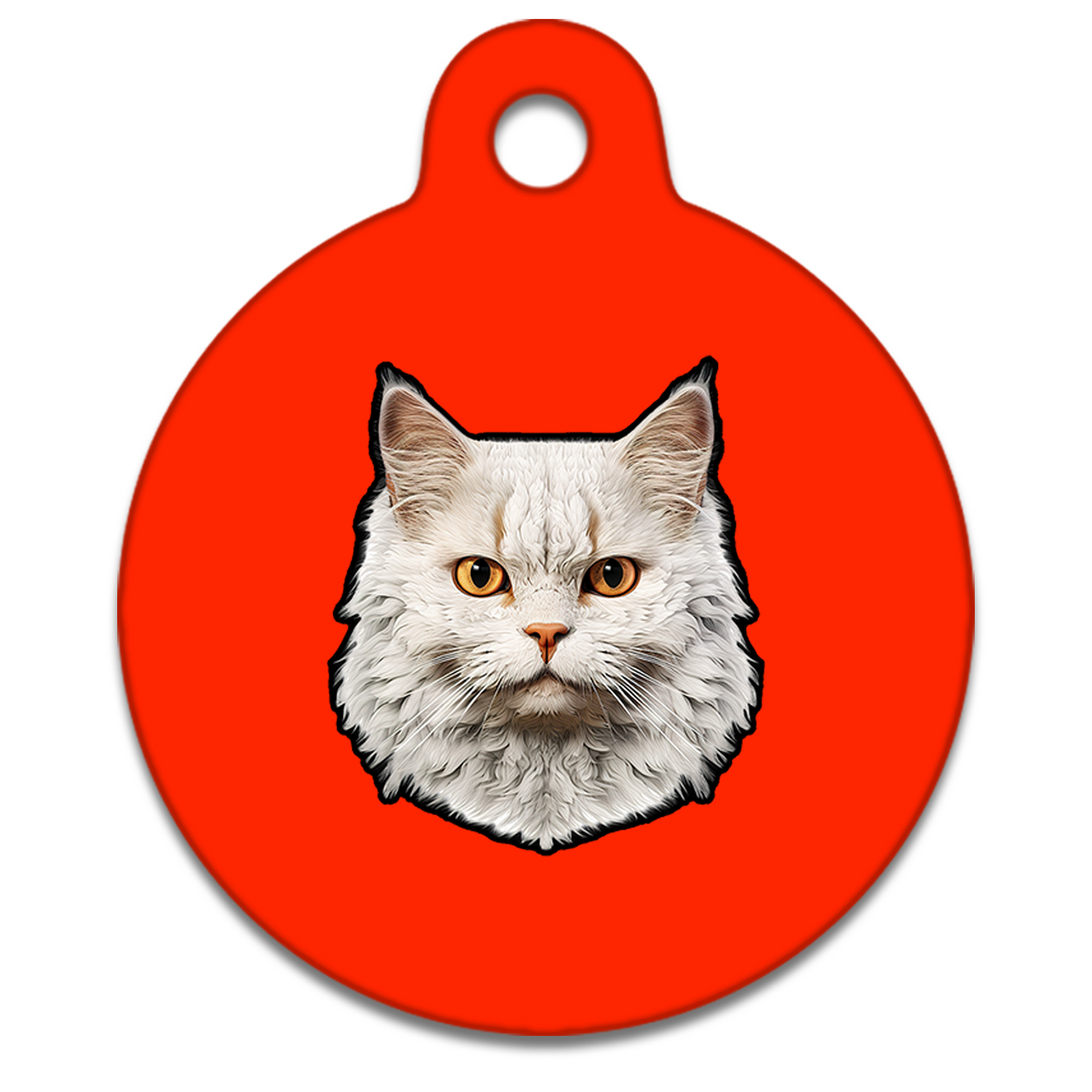 25mm Diameter Tiny Size - Selkirk Rex