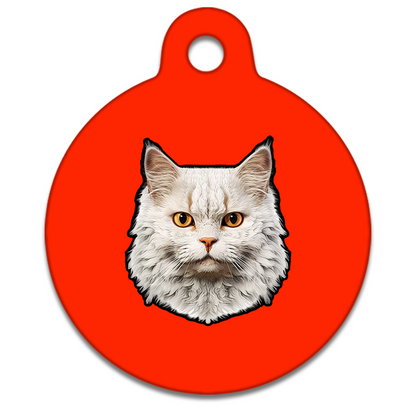 25mm Diameter Tiny Size - Selkirk Rex