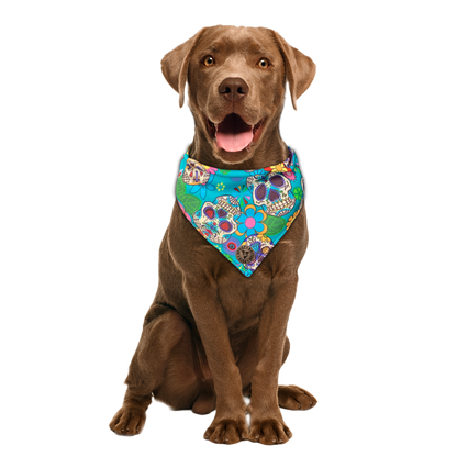 The York - Blue Sugar Skulls Dog Bandana