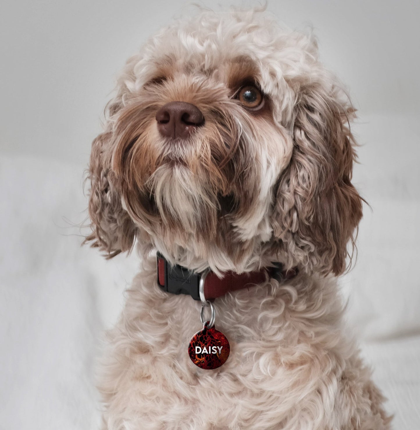 Checker Board - Pet ID Tag