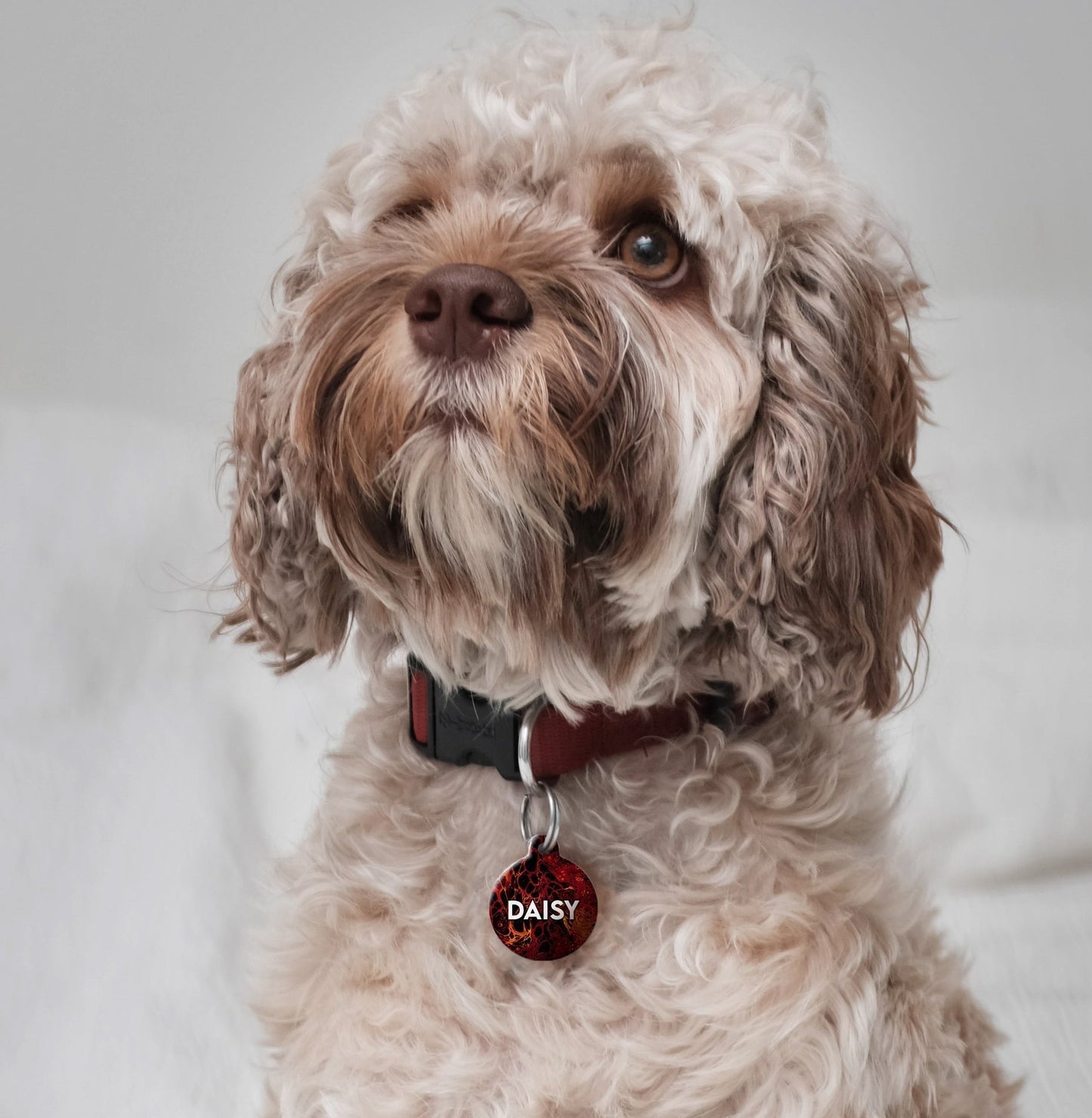 Leather - Pet ID Tag