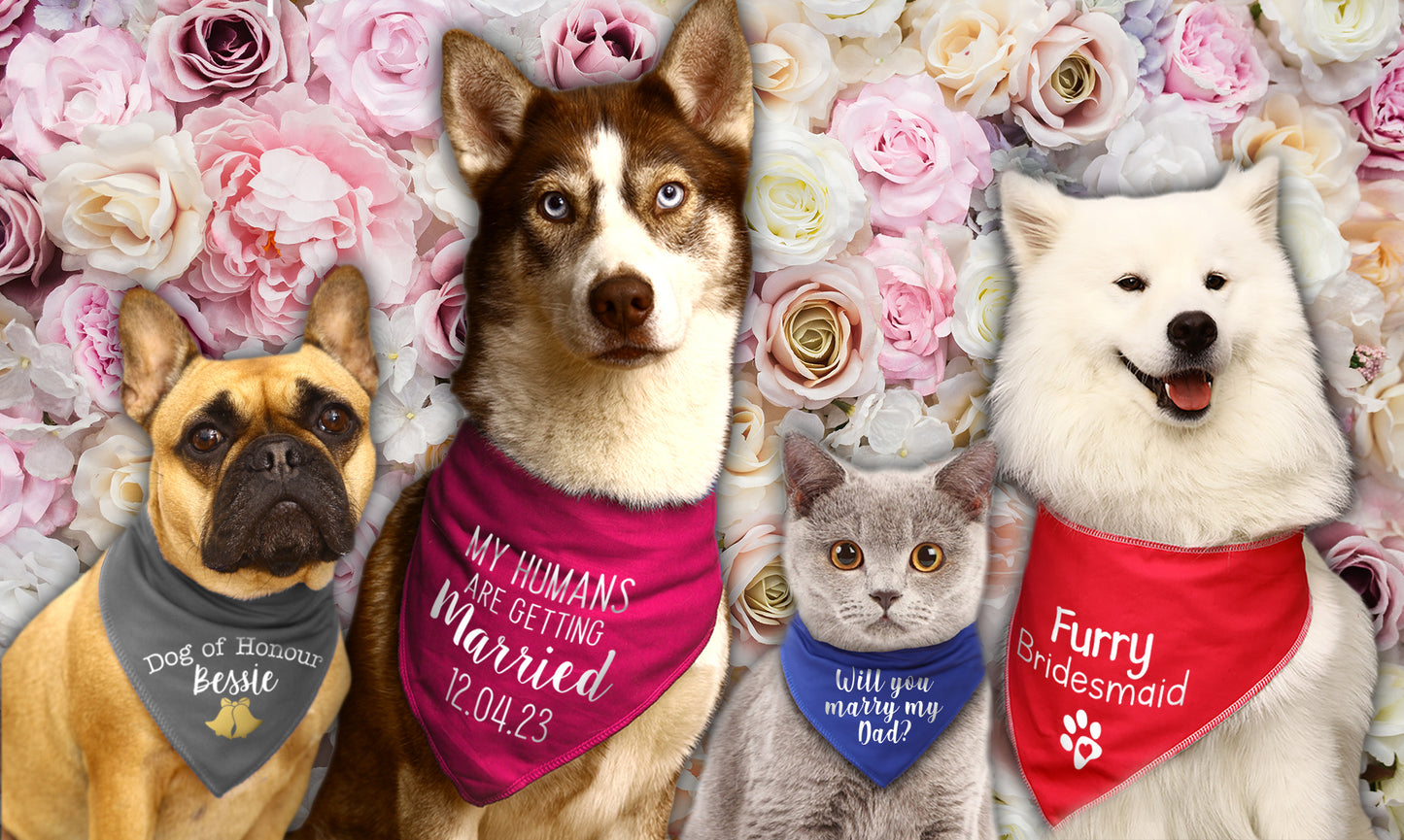 Will You Marry Me? Dog Bandana