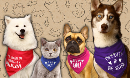 My Parents Are Getting Me A Human Added Date Dog Bandana