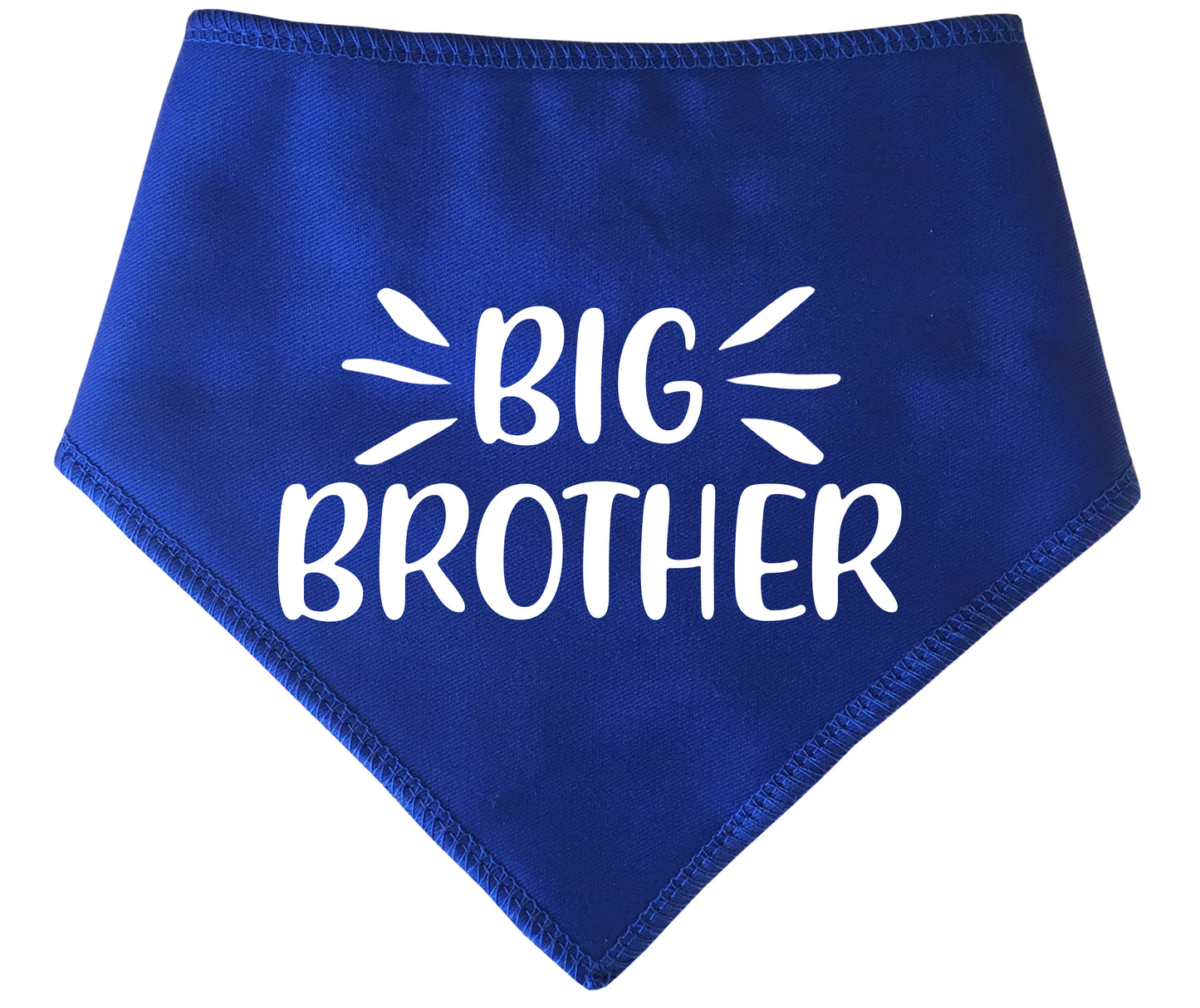 Big Brother Highlights Dog Bandana