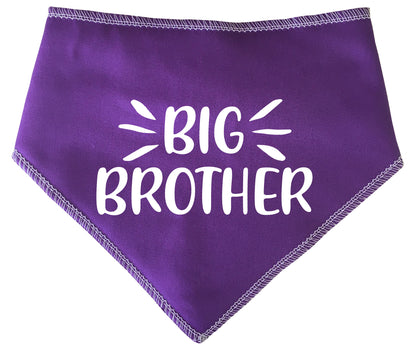 Big Brother Highlights Dog Bandana