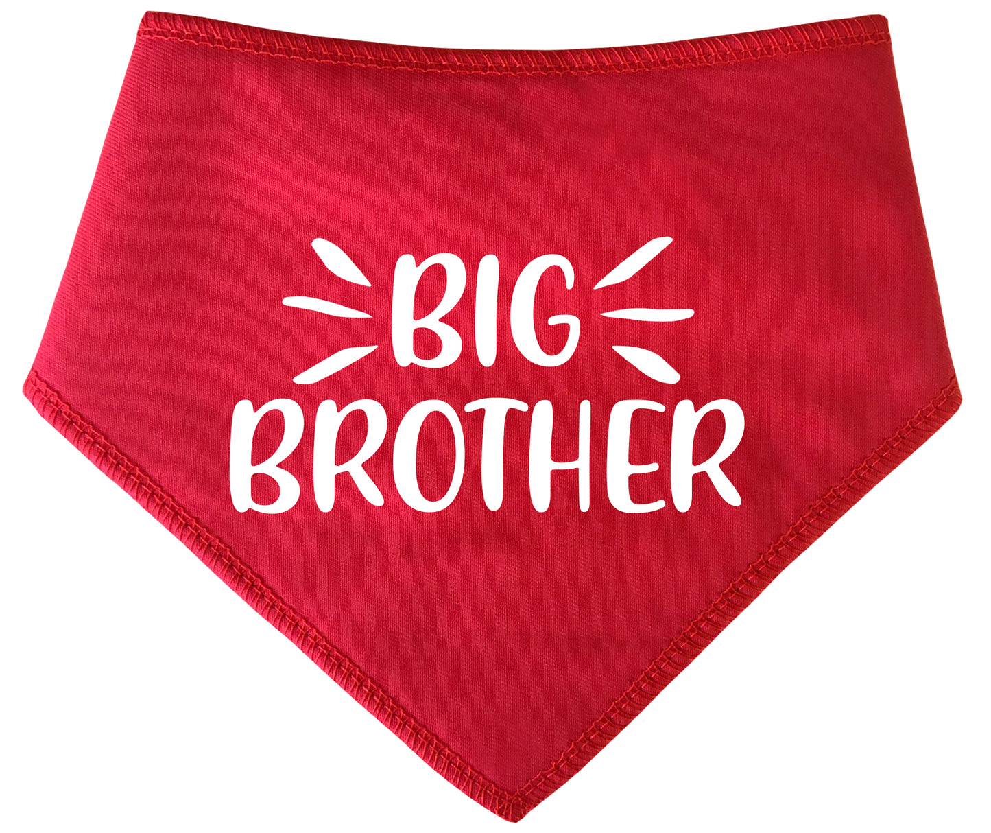 Big Brother Highlights Dog Bandana