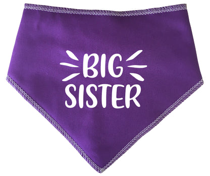 Big Sister Highlights Dog Bandana