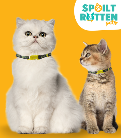 Star Wars Yellow Buckle Cat Collar
