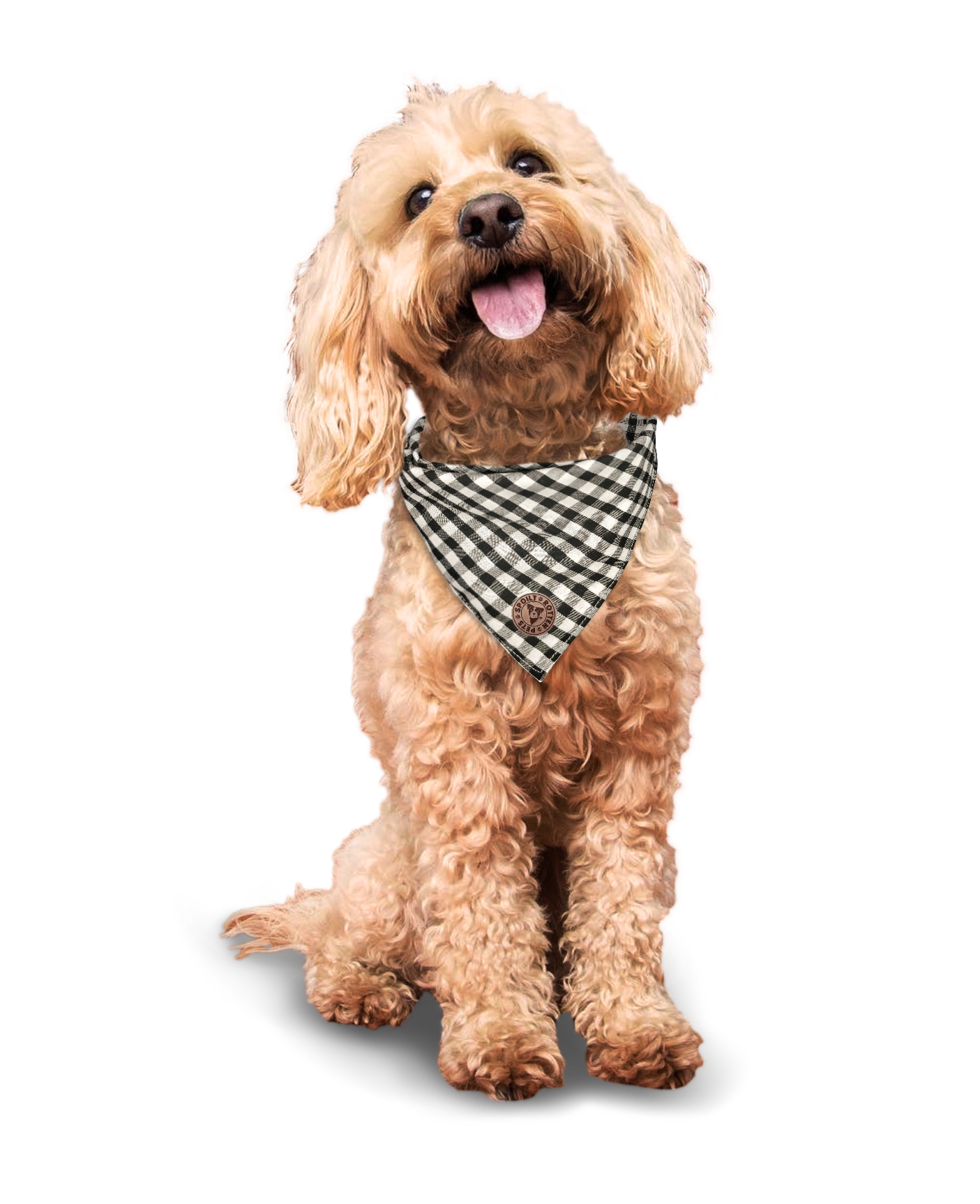 The Derbyshire - Gingham Black Tied Dog Bandana