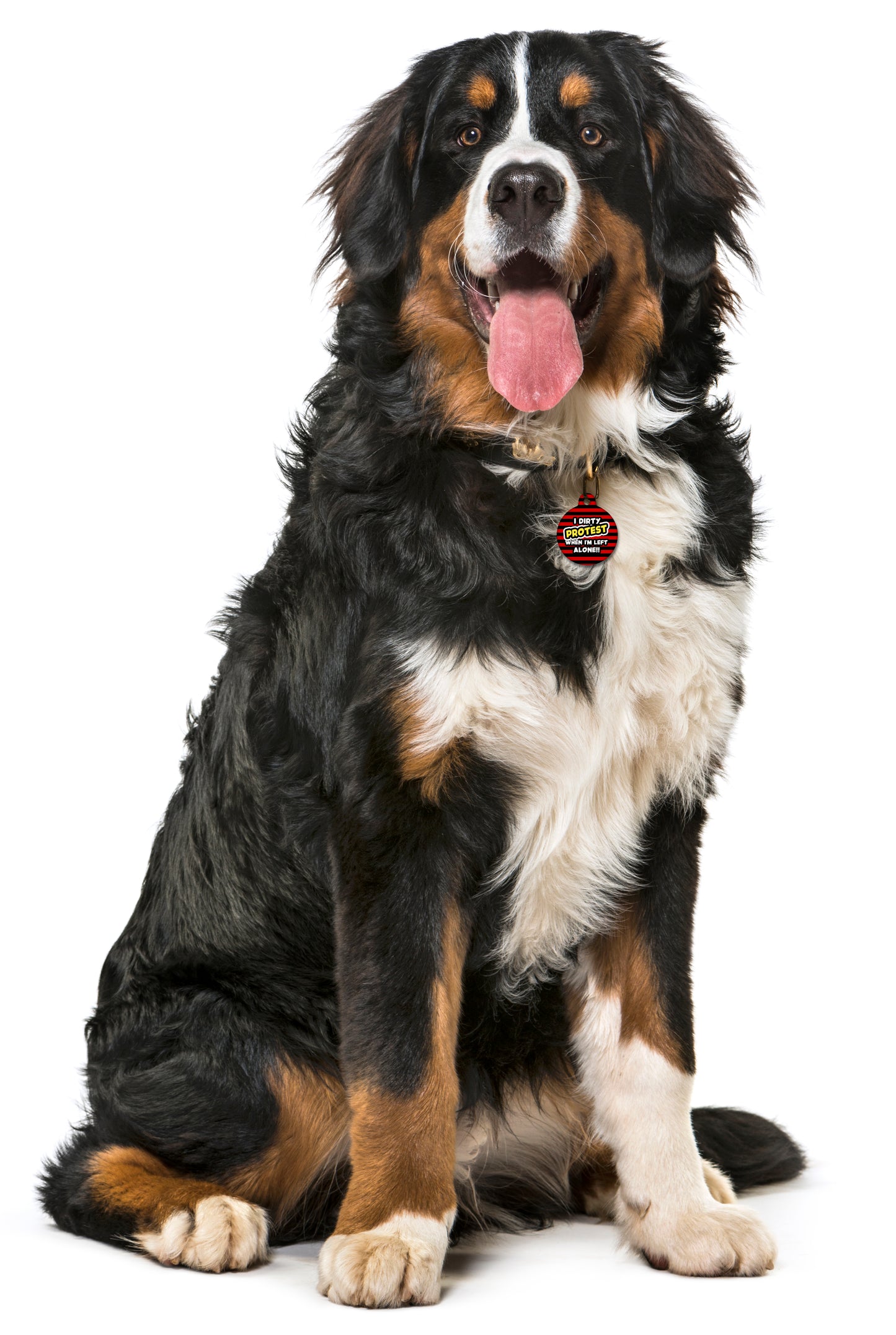Beano Dirty Protest When I'm Left Alone - Pet ID Tag