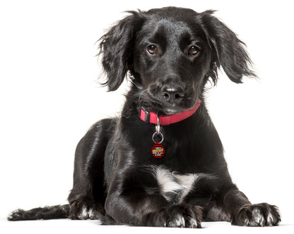 Beano Dirty Protest When I'm Left Alone - Pet ID Tag