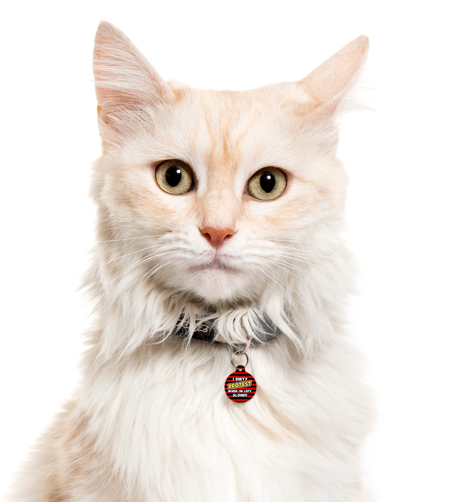 Beano Dirty Protest When I'm Left Alone - Pet ID Tag