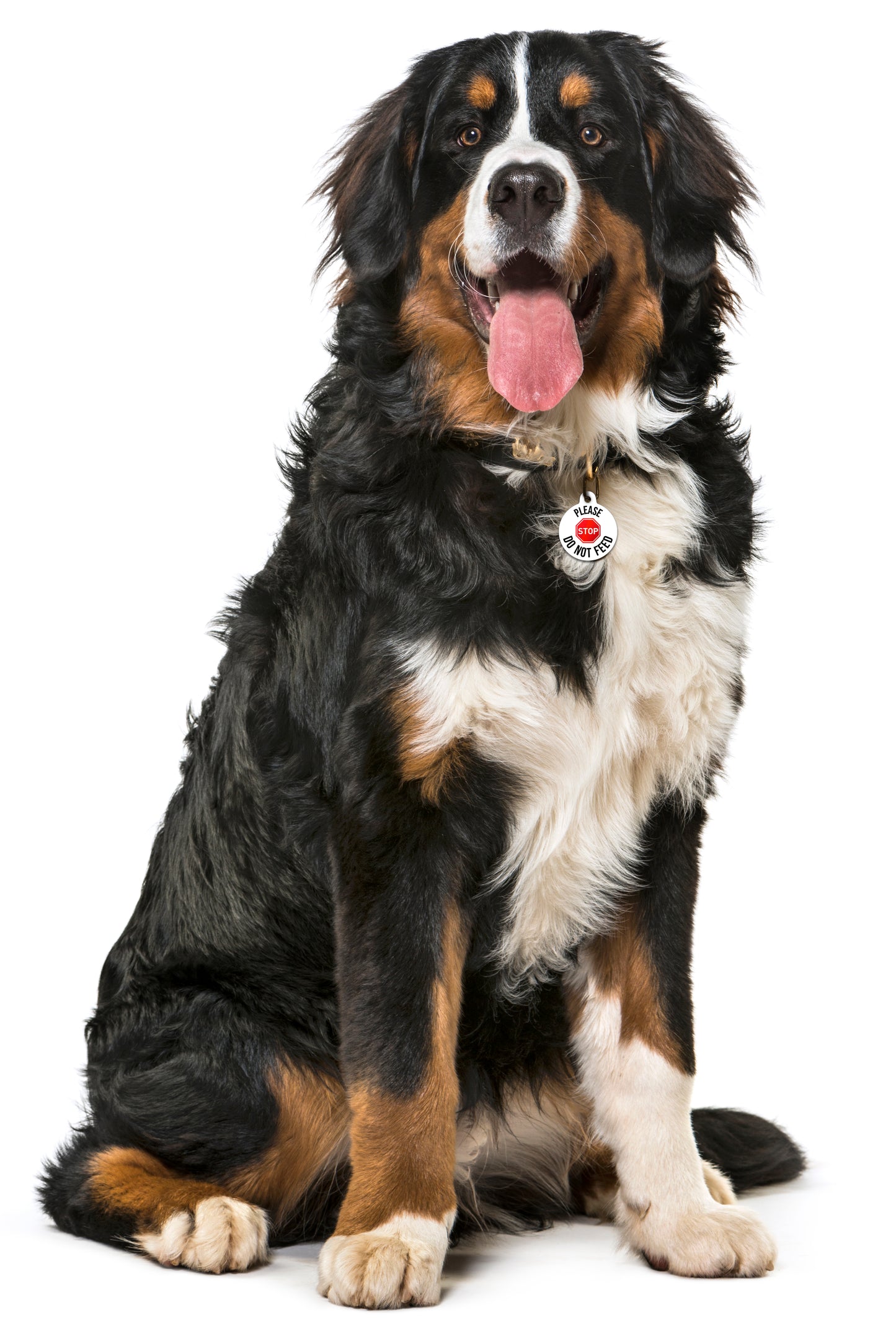 Please Do Not Feed Stop Sign - Pet ID Tag