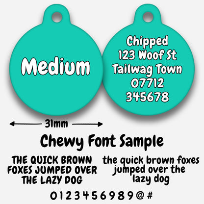 Turquoise - Pet ID Tag