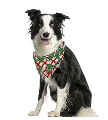 The Wembley - Football Flag Tied Dog Bandana