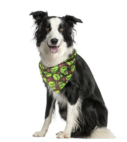 The Hampton - Green Zombie Skulls Tied Dog Bandana
