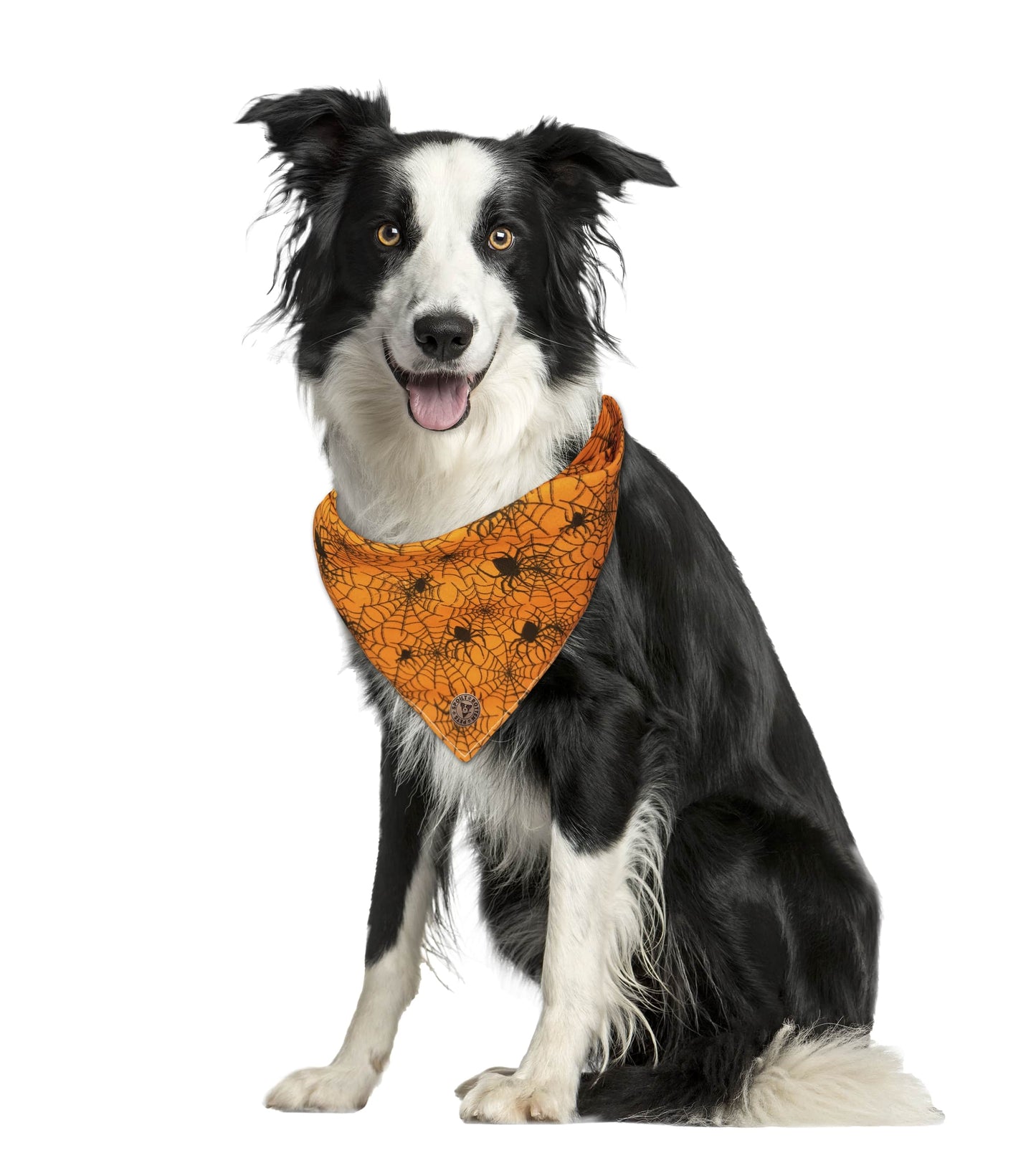 The Glasgow - Orange Cobweb Spot Tied Dog Bandana