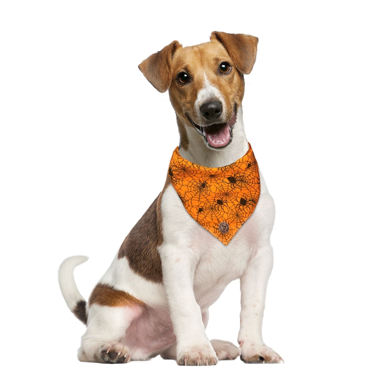 The Glasgow - Orange Cobweb Spot Tied Dog Bandana