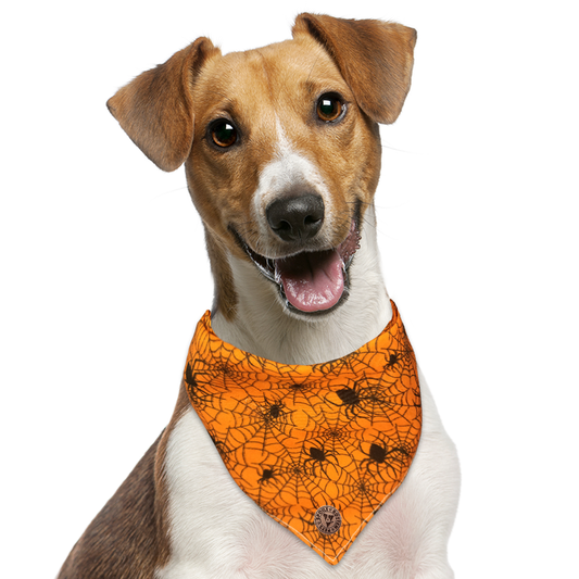 The Glasgow - Orange Cobweb Spot Tied Dog Bandana