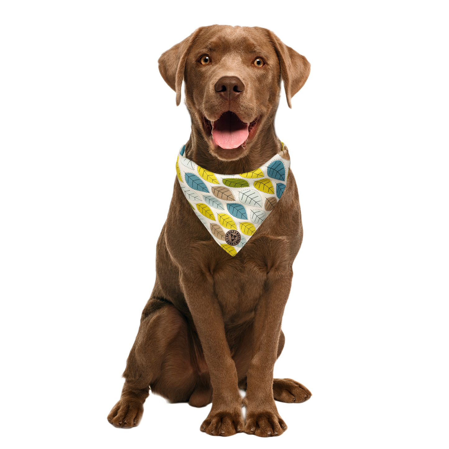 The Cotswold - Leaves Spring Tied Dog Bandana