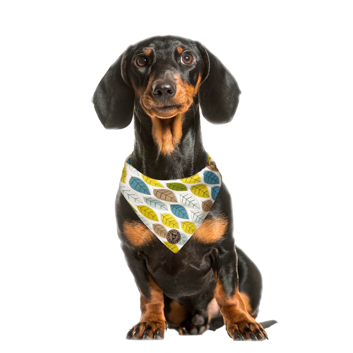 The Cotswold - Leaves Spring Tied Dog Bandana