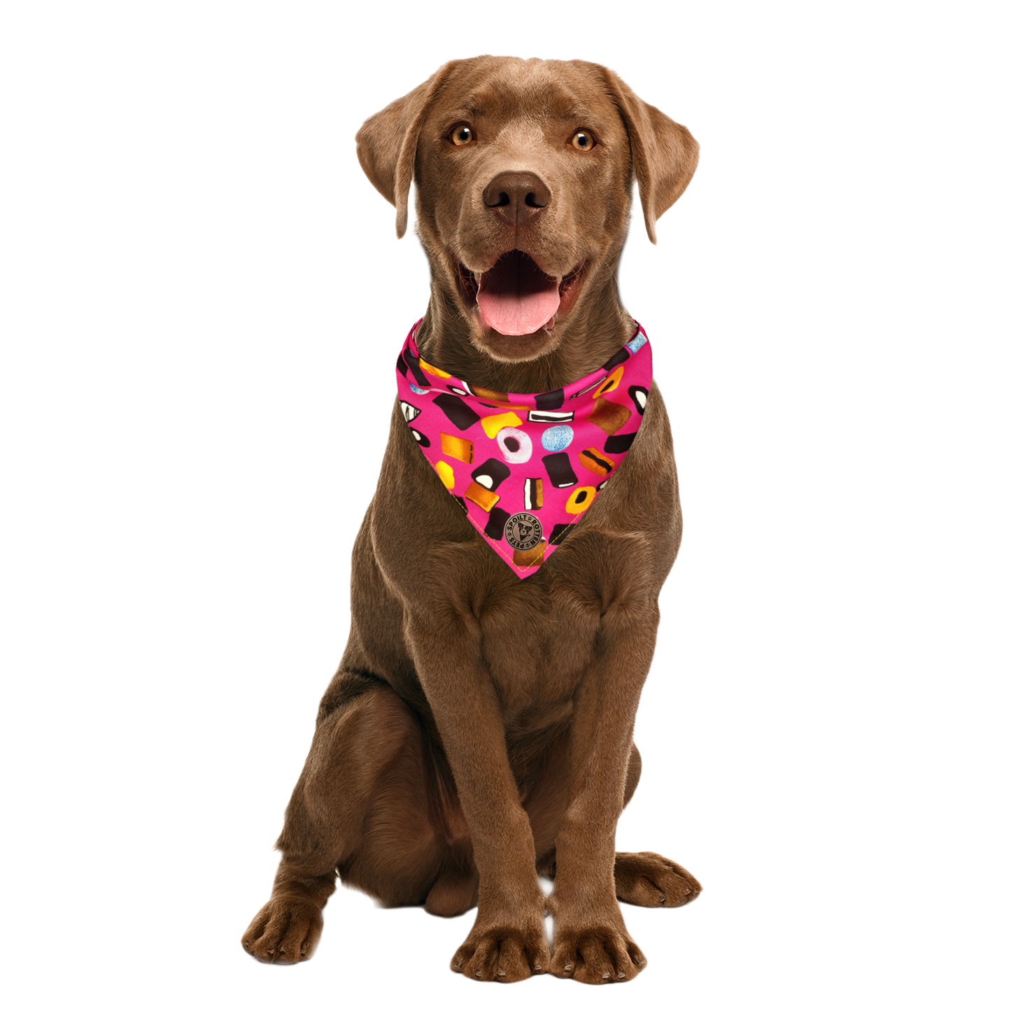 The Blackpool - Liquorice Allsorts Pink Tied Dog Bandana