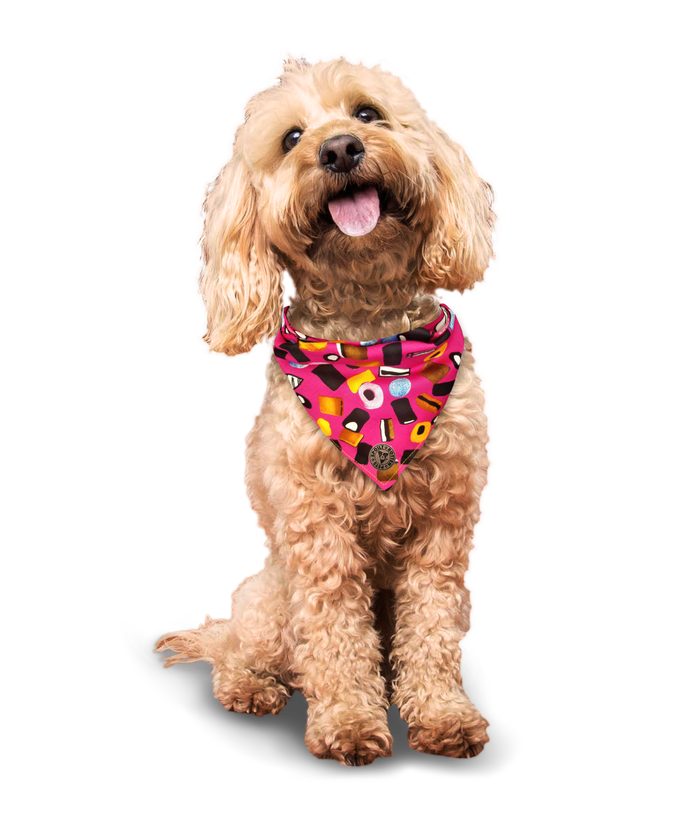 The Blackpool - Liquorice Allsorts Pink Tied Dog Bandana