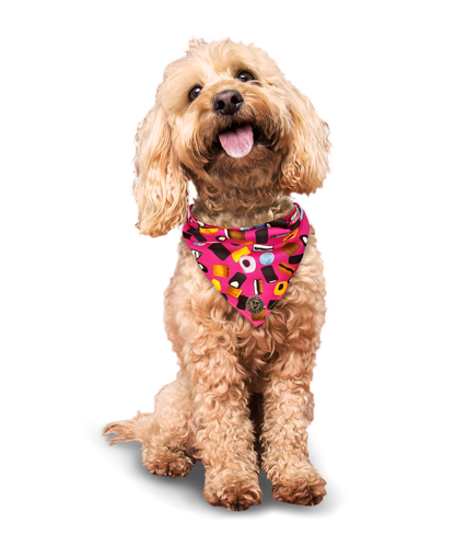 The Blackpool - Liquorice Allsorts Pink Tied Dog Bandana