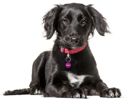 Comic Book Pink Design - Pet ID Tag
