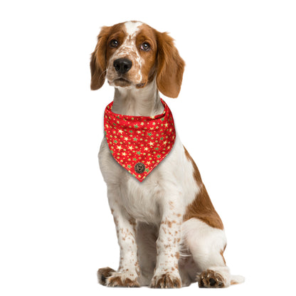 The Piccadilly - Christmas Green & Gold Stars Tied Dog Bandana