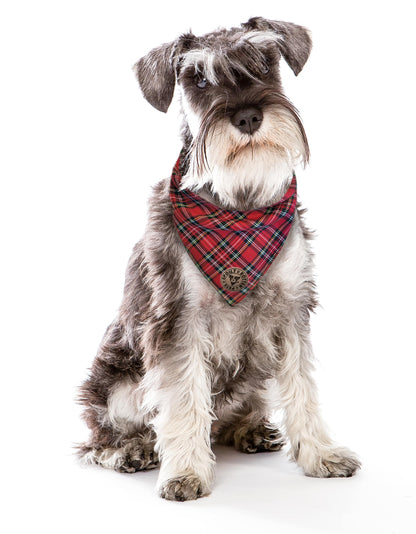 The Balmoral - Red Tartan Tied Dog Bandana