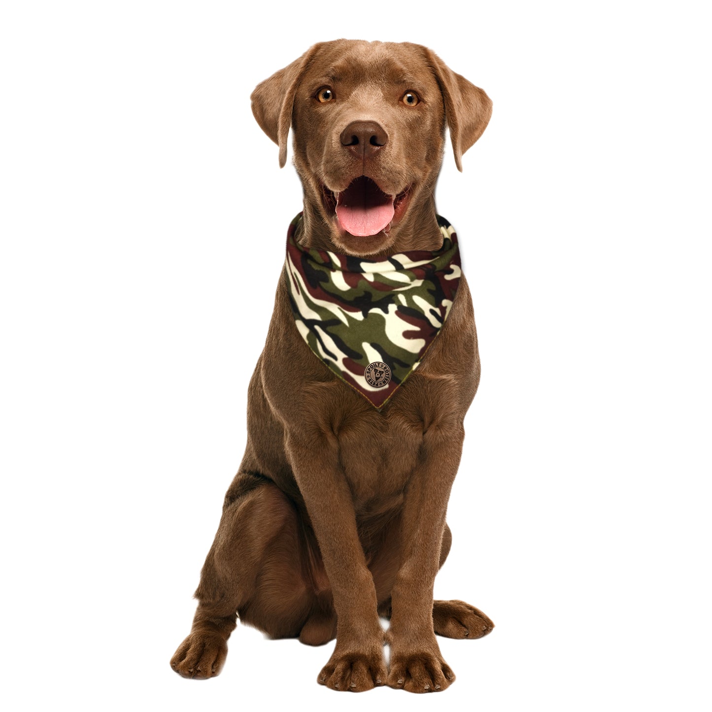 The Colchester - Camo Green Tied Dog Bandana