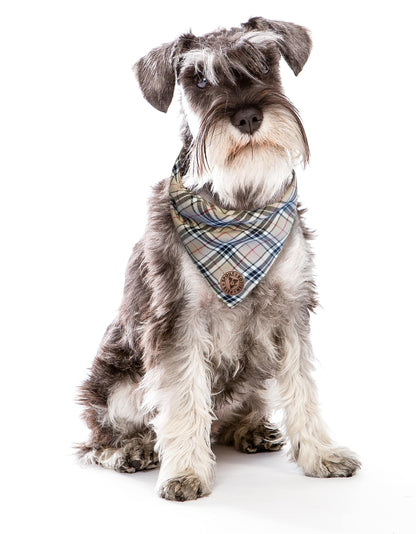 The Aberdeen - Beige Tartan Tied Dog Bandana