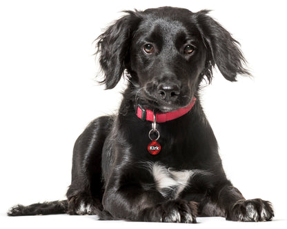 Grr...berry Tartan- Pet ID Tag