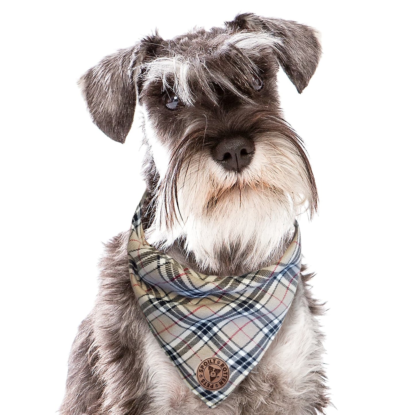 The Aberdeen - Beige Tartan Tied Dog Bandana