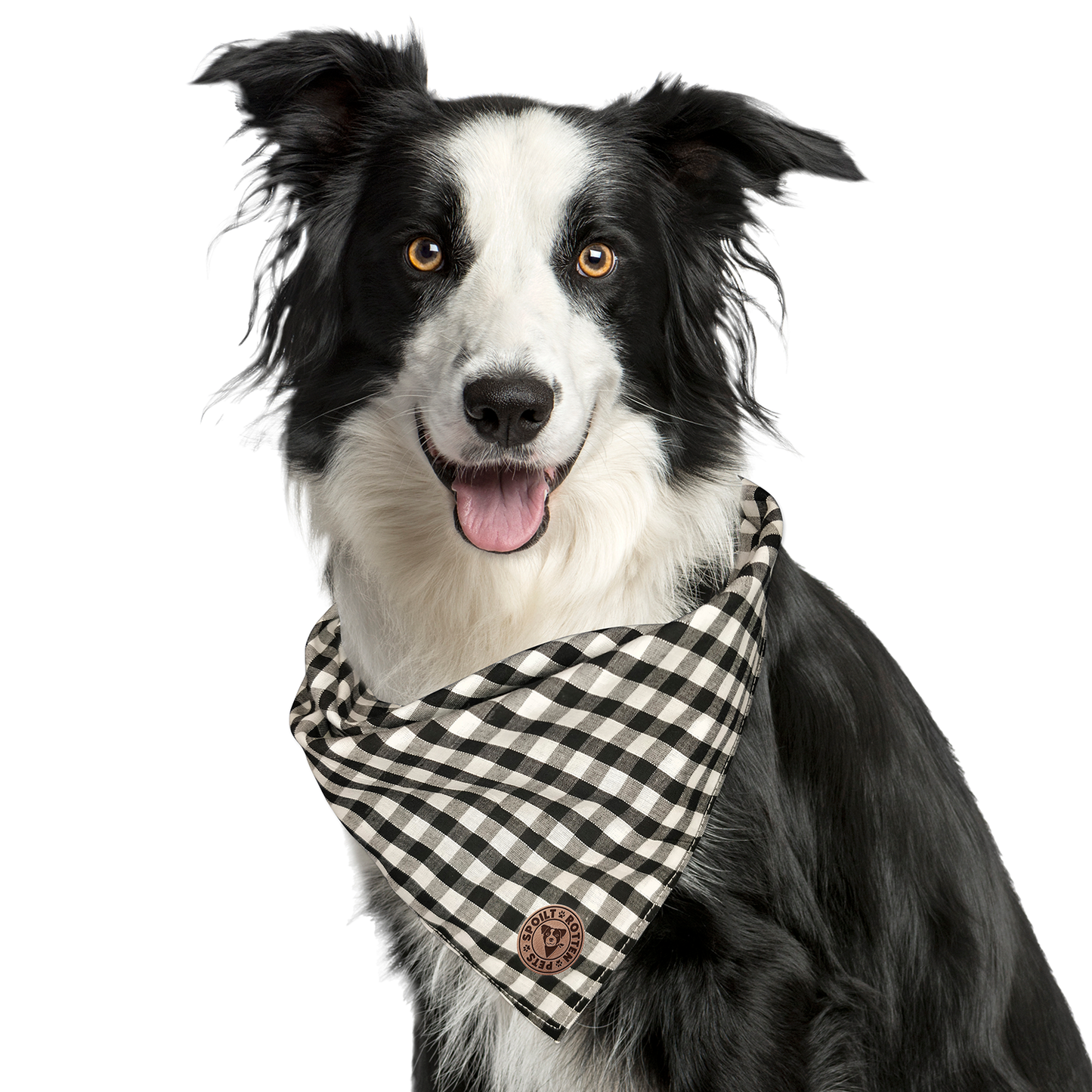 The Derbyshire - Gingham Black Tied Dog Bandana