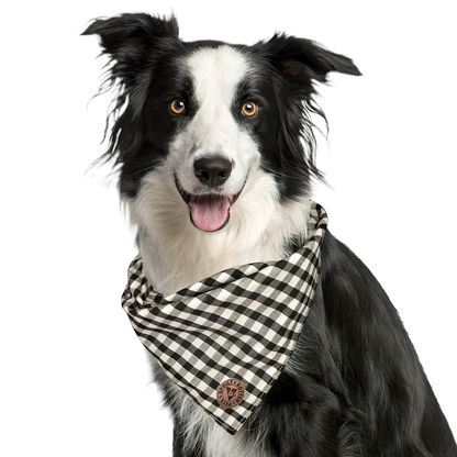 The Derbyshire - Gingham Black Tied Dog Bandana