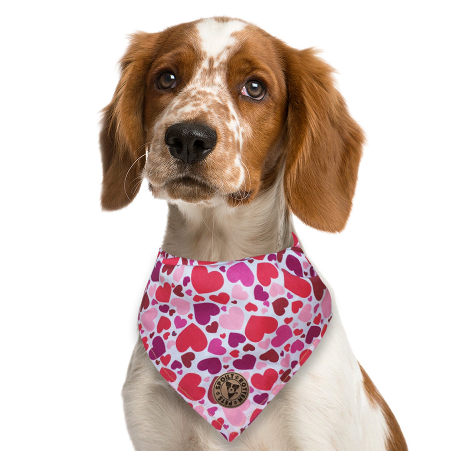 The Beaulieu - Pink Hearts Tied Dog Bandana