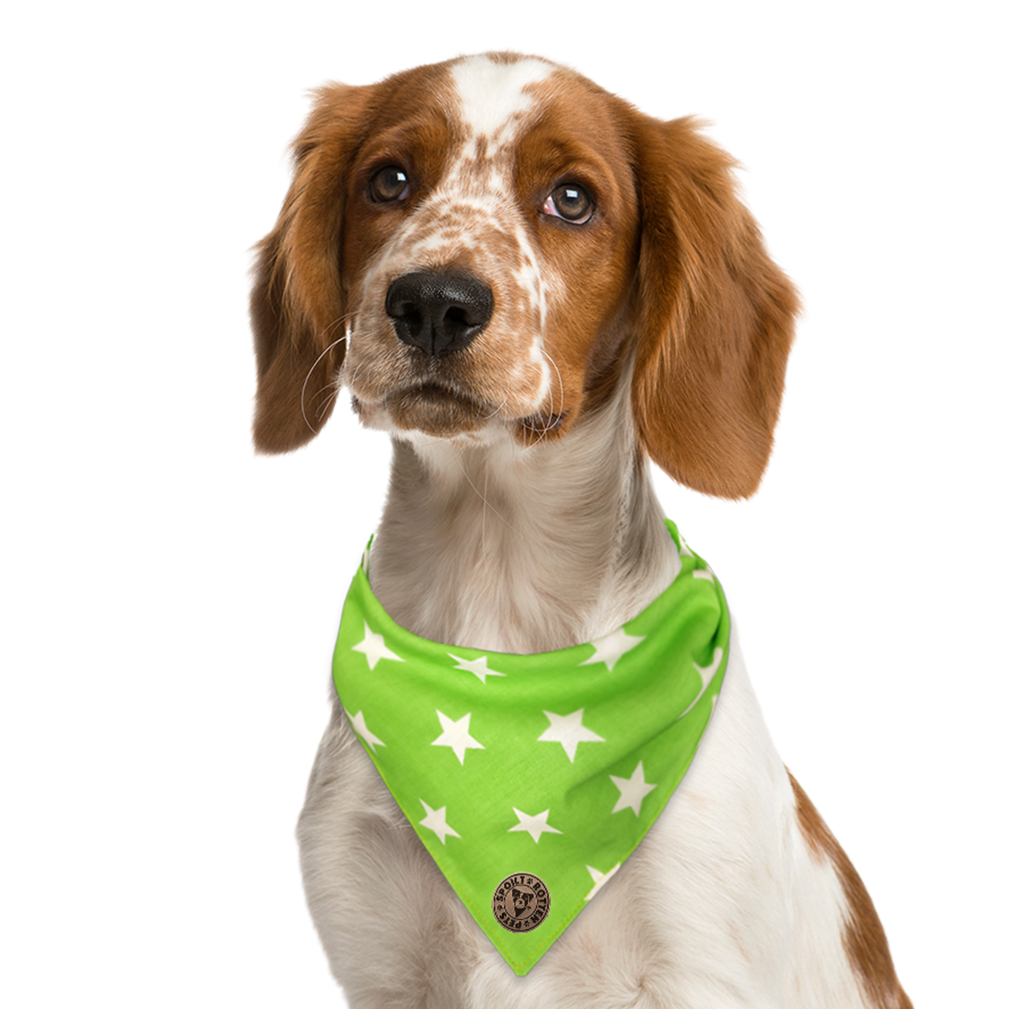 The Cheltenham - Large Star on Lime Tied Dog Bandana