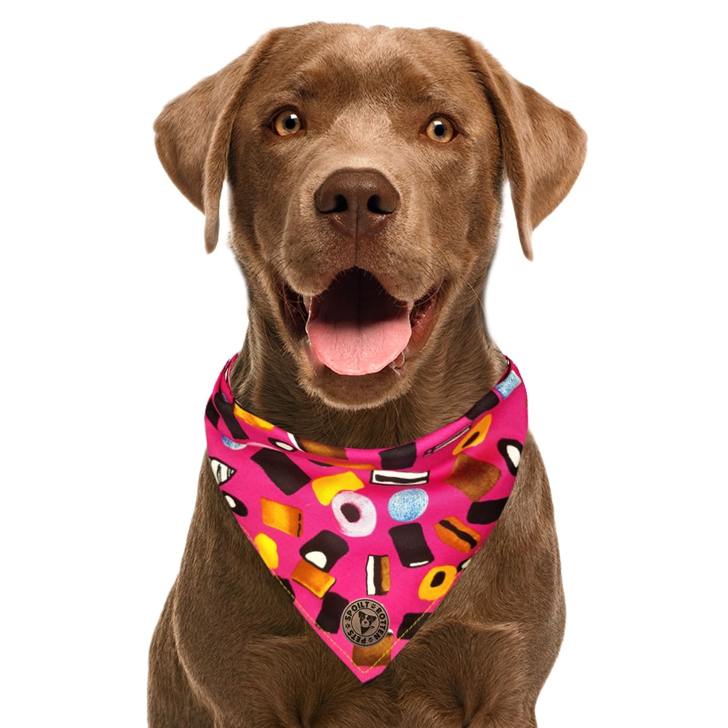 The Blackpool - Liquorice Allsorts Pink Tied Dog Bandana