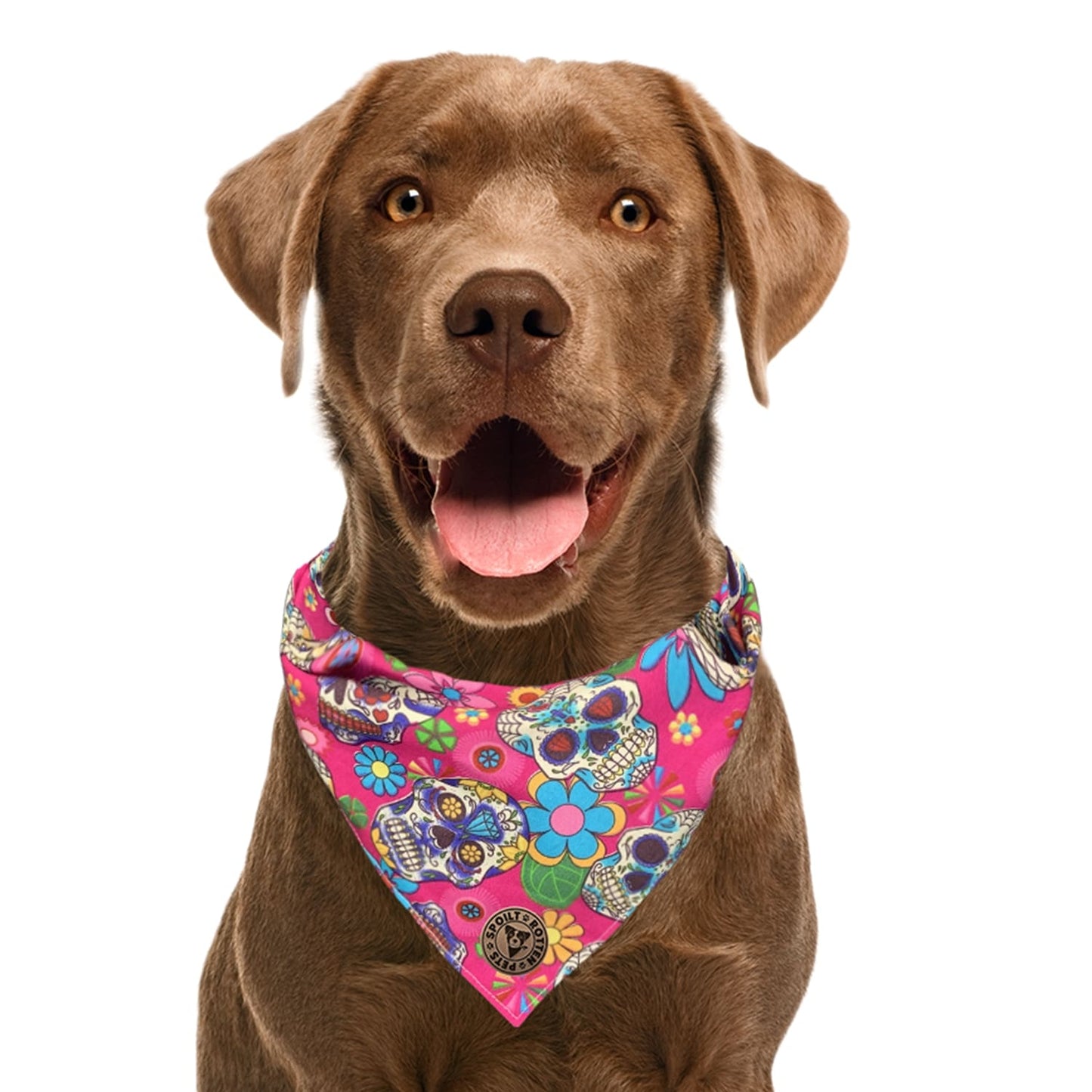 The Whitby - Pink Sugar Skulls Dog Bandana