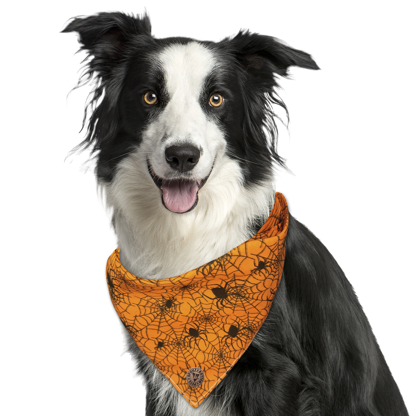 The Glasgow - Orange Cobweb Spot Tied Dog Bandana