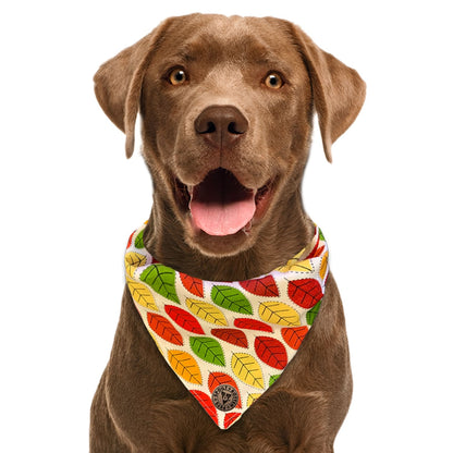 The Sherwood - Leaves Autumn Tied Dog Bandana