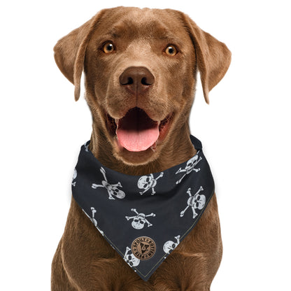 The Penzance - Skull & Crossbones Dog Bandana