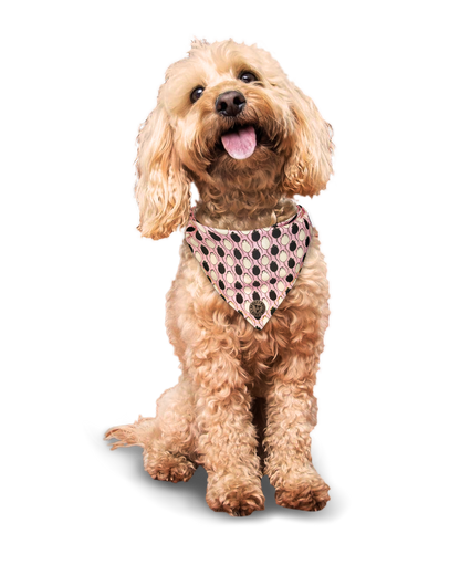 The Shrewsbury - Mice Pink Tied Dog Bandana