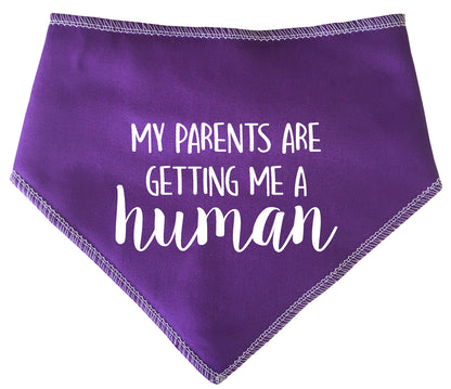 My Parents Are Getting Me A Human Dog Bandana